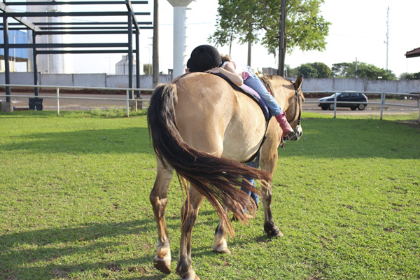 Read more about the article Dia da Equoterapia: João César Mattogrosso é autor de lei que torna tratamento com cavalos acessível às pessoas em situação de vulnerabilidade