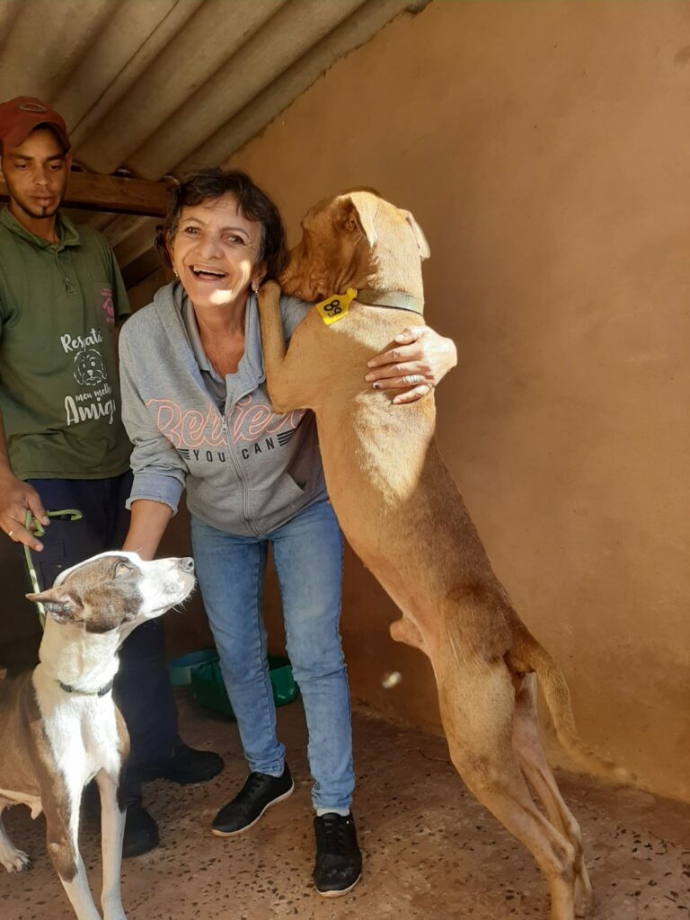 Kelly Macedo, da ONG Cão Feliz, cuidando dos animais